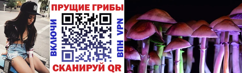 Псилоцибиновые грибы Cubensis  Купить  Карабаш 